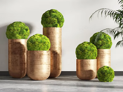Green Spherical Bonsai Plants Arranged In Copper Cylindrical Pots Various Sizes On Gray Floor 3d model