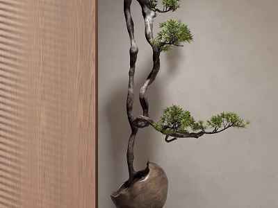 Twisted Branch Bonsai Tree with Green Foliage in Ceramic Pot against Wooden and Gray Wall 3d model
