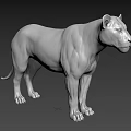 Two Silver Lion Statues With Metallic Finish Standing In 3D Rendered Design 3d model