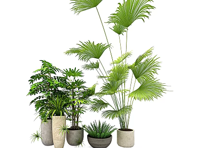 Various Green Potted Plants With Different Leaf Shapes And Decorative Planters 3d model