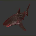 Realistic 3D Render of Aquatic Animal Shark with Open Mouth and Fins