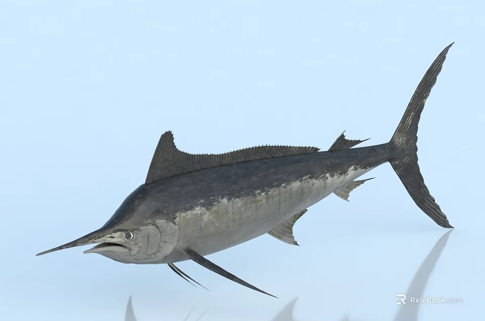 Silver Marlin Fish With Long Bill And Dorsal Fin In Blue Underwater Scene 3d model 