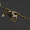 Detailed Duck with Spreading Wings Dark and White Feathers Yellow Eyes White Beak and Legs