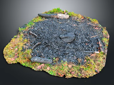 Natural Garden Miniature Design With Black Soil Moss Small Stones Green Grass And Twigs 3d model