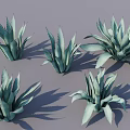 Five Green Succulent Potted Plants With Broad Leaves And Gray Background Shadows