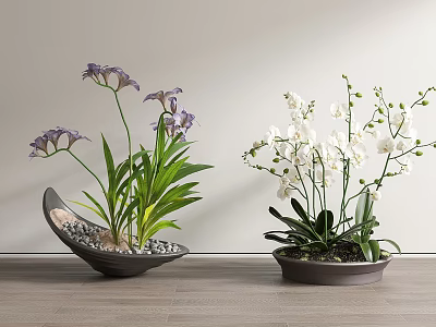 Bonsai Potted Plants with Purple and White Flowers in Black Ceramic Pots and Small Stones 3d model