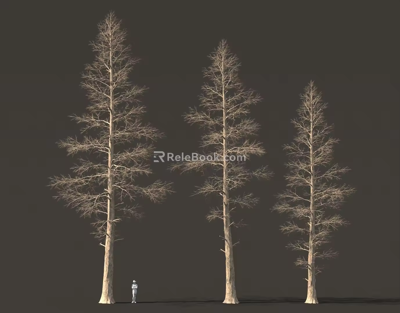Dead Trunk Forest Big Tree High Pole Bird's Eye View Tree Pine Tree National Style Ancient Tree 3d model