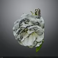 Single Blooming White Rose With Green Leaves On Dark Background