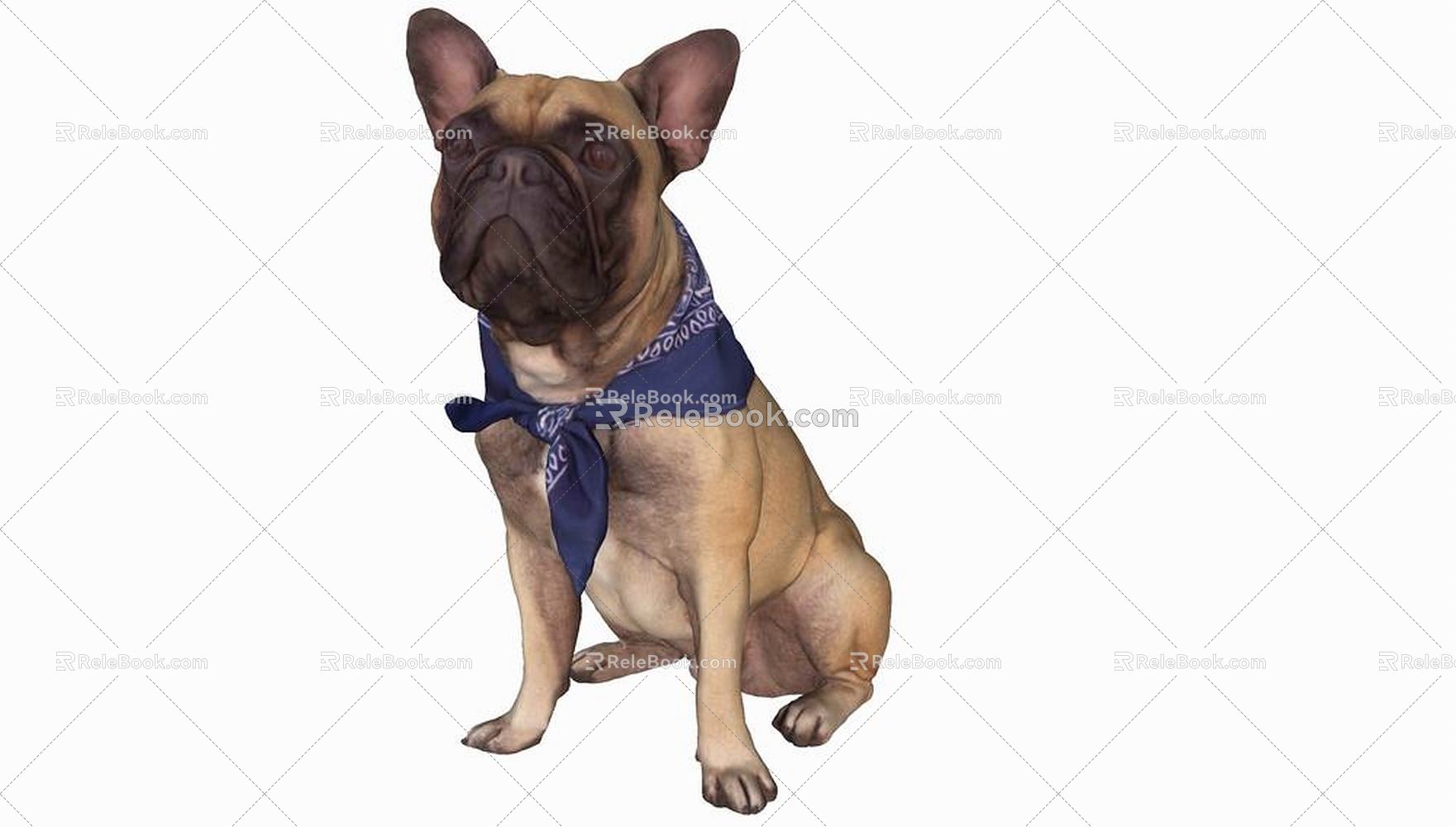 Modern Dog Animal Dog 3d model