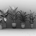 Various Indoor Potted Plants With Different Green Leaf Types And Stylish Planters