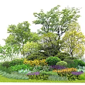Lush Garden Landscape Featuring Tall Trees Shrubs and Colorful Flower Beds