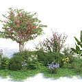 Lush Green Shrubs With Pink Purple Yellow Flowers And Tropical Leaves