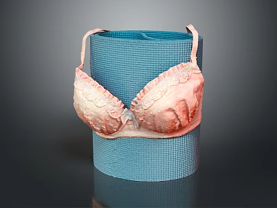 Delicate Pink Lace Brassiere With Soft Design On Blue Yoga Mat 3d model