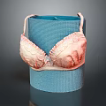 Delicate Pink Lace Brassiere With Soft Design On Blue Yoga Mat
