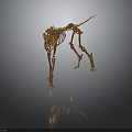 Golden Animal Skeleton in Standing Pose Against Dark Background With Reflective Surface