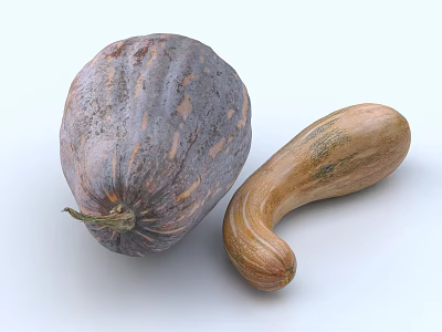 Two Varieties of Fresh Vegetables Including Purple Spotted and Brown Curved Pumpkins 3d model