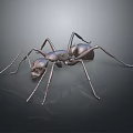 Metallic Ant With Detailed Legs And Body Structure On Dark Background