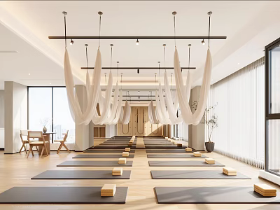 Open Layout Yoga Studio with Hammocks Yoga Mats Wooden Floors and Large Windows 3d model
