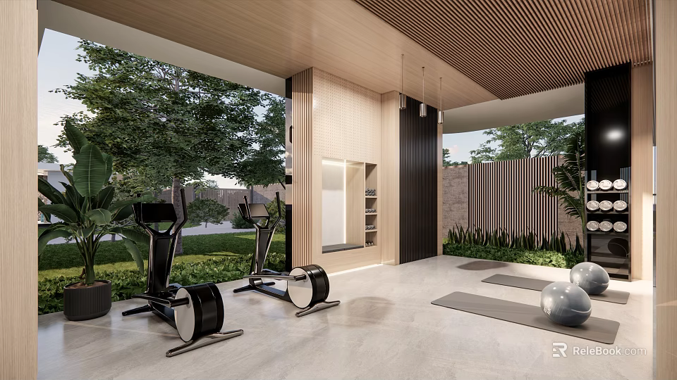 Indoor Home Gym With Elliptical Exercise Bike Yoga Mat Fitness Balls Green Plants Natural Light 3d model 