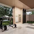 Indoor Home Gym With Elliptical Exercise Bike Yoga Mat Fitness Balls Green Plants Natural Light