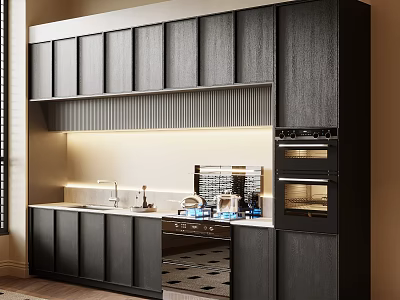 Modern Dark Colored Kitchen Cabinets With Countertop Sink And Oven Appliances 3d model