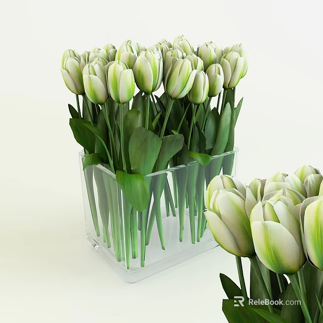 Transparent Glass Vase With White And Green Tulips And Fresh Green Leaves 3d model 