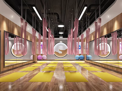 Fitness Studio With Yellow Yoga Mats Large Mirrors Pink Suspension Ropes And Colorful Balls 3d model