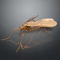 Golden Metallic Mosquito Sculpture With Detailed Wings And Long Legs On Dark Background