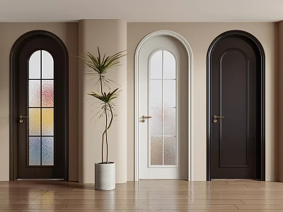 Elegant Arched Hinged Doors In Dark And White With Glass Panels And Potted Plant Indoor 3d model