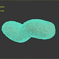 Healthy Natural Brown Shelled Raw Peanut With Textured Surface And Organic Shape