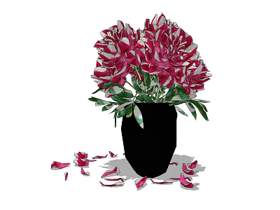 Red and White Peonies in Black Vase with Scattered Petals Around 3d model