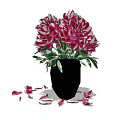 Red and White Peonies in Black Vase with Scattered Petals Around