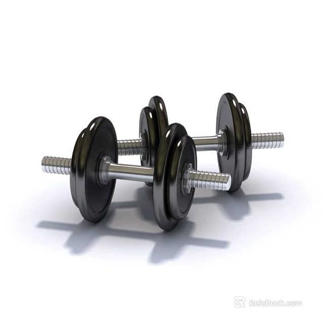 Pair of Black Metal Dumbbells Essential Sports Equipment for Fitness Workouts 3d model 