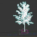 Single Tree with Slender Trunk and Green Leaves on Square Base with Scattered Leaves Around