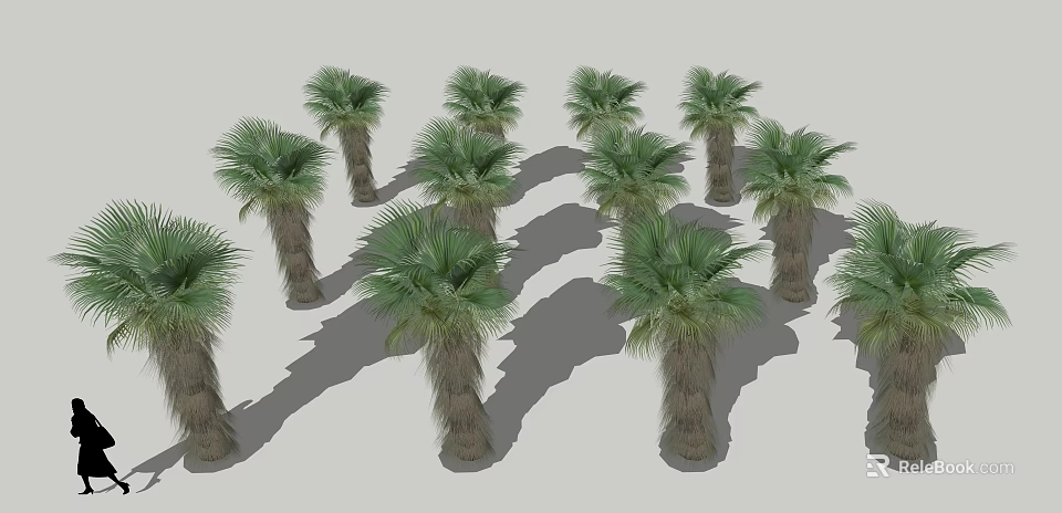 Tall Green Palm Trees Standing With Sunlit Shadows In Natural Landscape 3d model 
