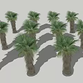 3-dimensional tree arbor big tree 3d model