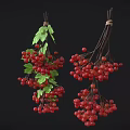 Fresh Red Berries with Green Leaves Hanging on Black Background