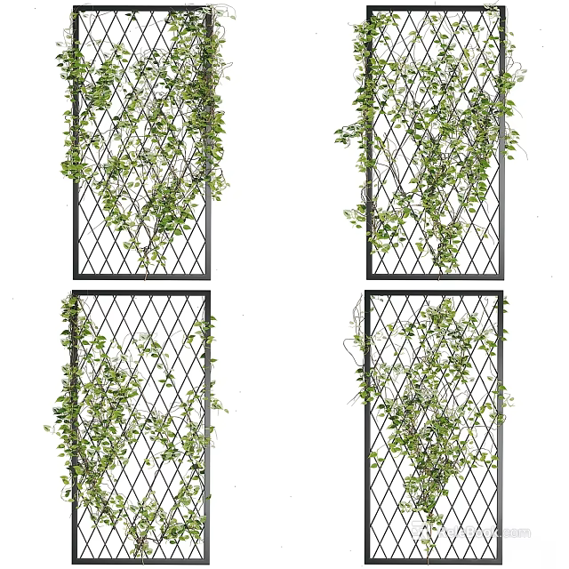 Decorative Ornament Set With Grid Panels And Green Vines For Home Decoration 3d model 