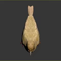 Peregrine Falcon Sparrow Pigeon Wingbird Pearl Bird Hummingbird Flamingbird Bird Animal 3d model
