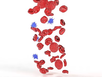 Artistic Decorative Ornament Combination With Red Blue Accents Various Shapes And Sizes 3d model