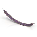 Traditional Purple Water Vehicle With Decorative Patterns And Long Curved Shape