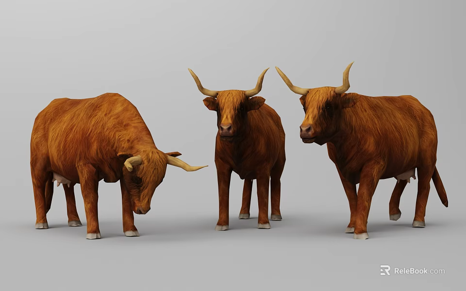 Three Realistic Brown Horned Cows Standing Side By Side On Gray Background 3d model 