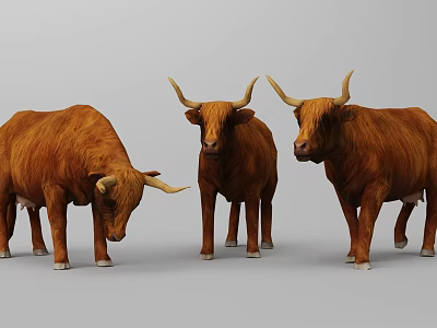 Three Realistic Brown Horned Cows Standing Side By Side On Gray Background 3d model
