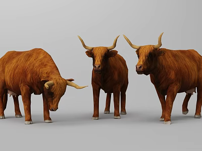Scottish Cattle 3d model Scottish Cattle 3d model