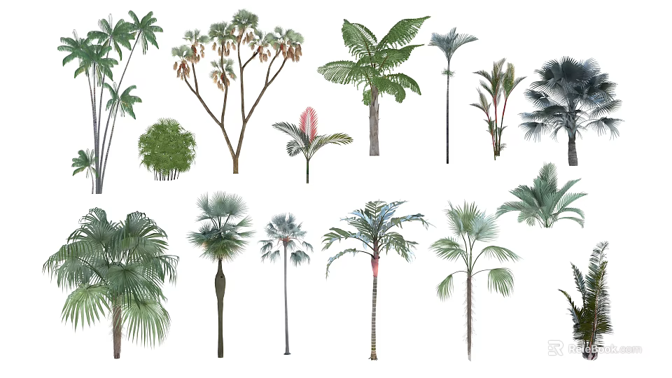 Diverse Collection Of Tropical Arbor Trees With Various Species And Foliage Types 3d model 