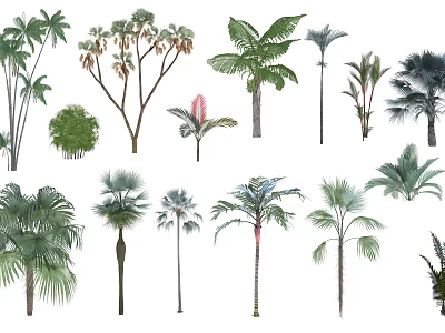 Diverse Collection Of Tropical Arbor Trees With Various Species And Foliage Types 3d model