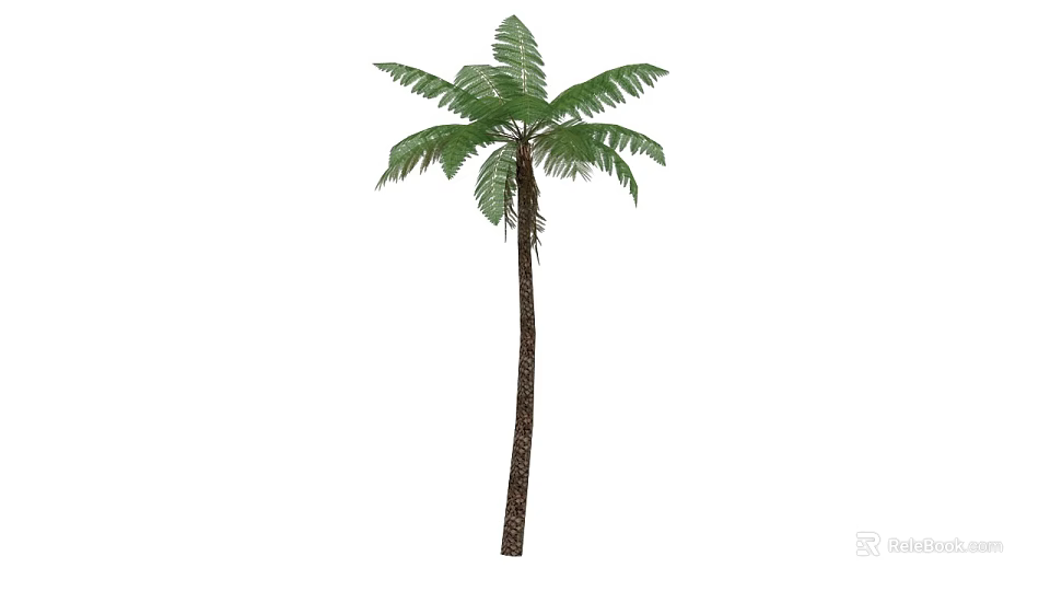Lush Green Palm Tree With Tall Brown Trunk And Natural Fronds 3d model 