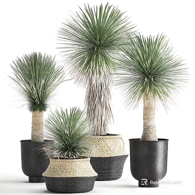 Bonsai Potted Plants With Long Leaves In Various Sizes And Stylish Planters 3d model 