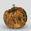 Organic Orange Pumpkin With Green And Brown Spots And Curved Stem