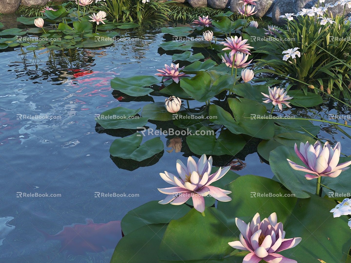 Modern Lotus Fish Pond Lotus Pond Koi Pond 3d model